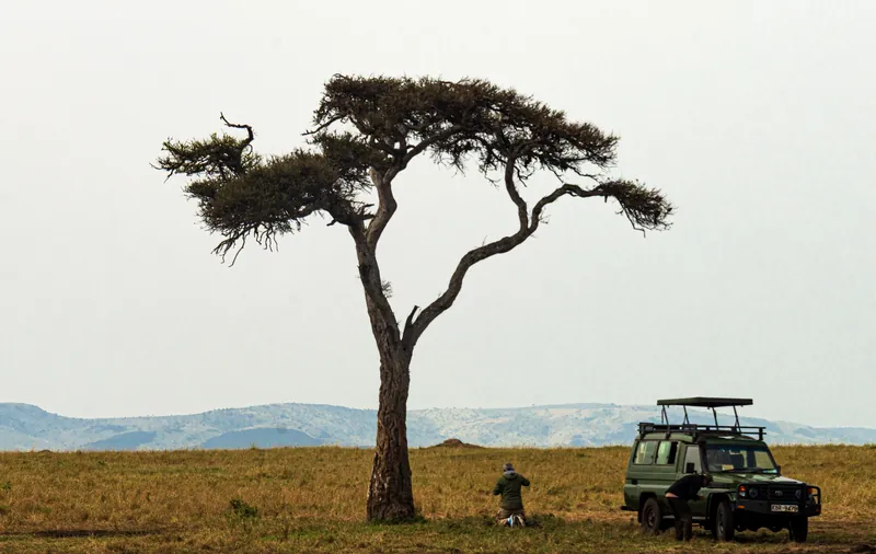 A safari vehicle parked beside a lone acacia on the Maasai Mara plains
